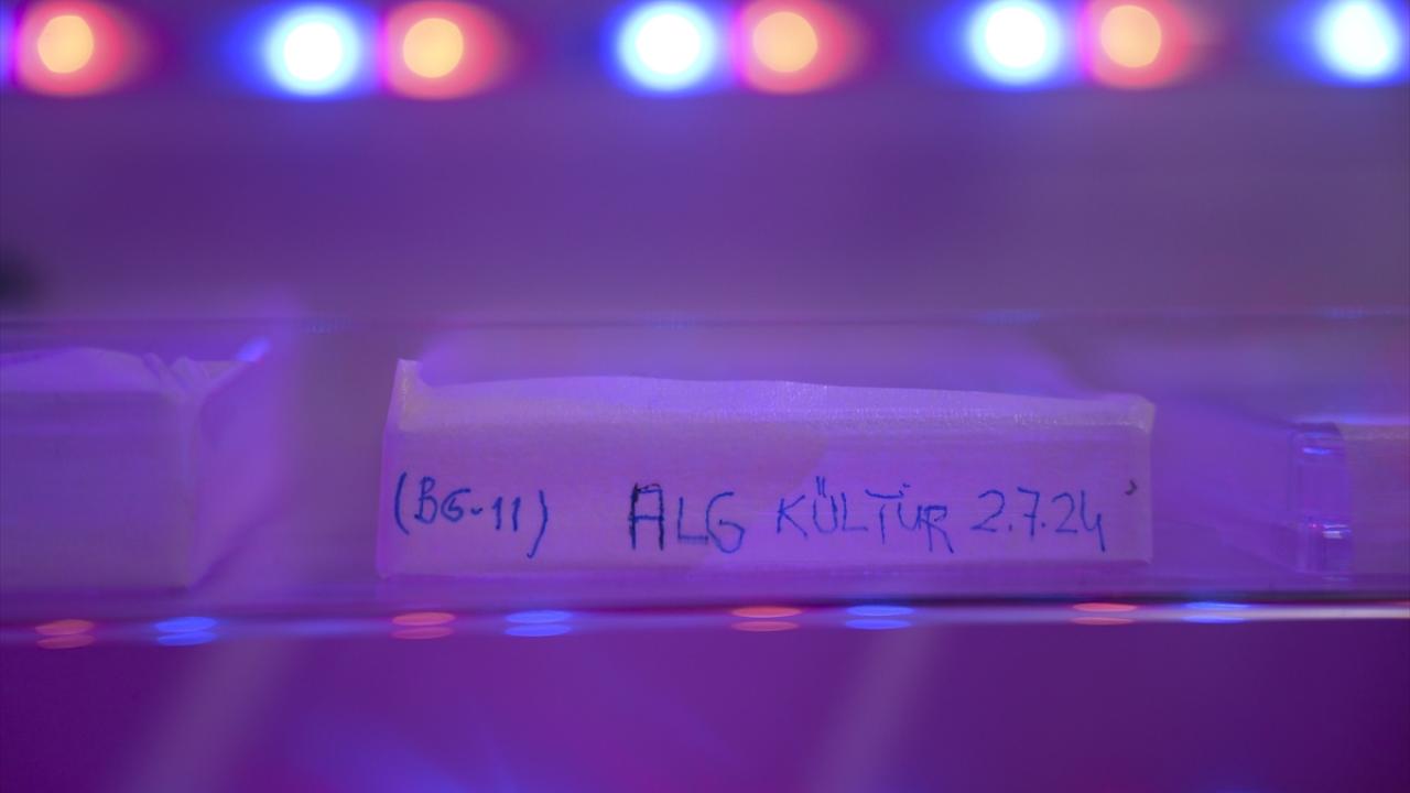 "Çıktılarımız bitkinin sağlığını artıracak"