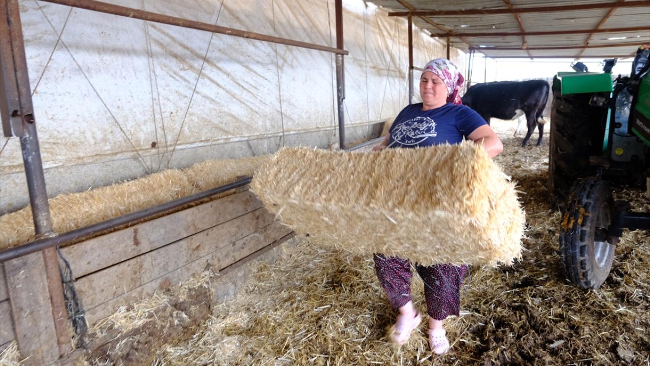"Köyde parmakla gösterilen bir numara kadın kahveciyim artık"