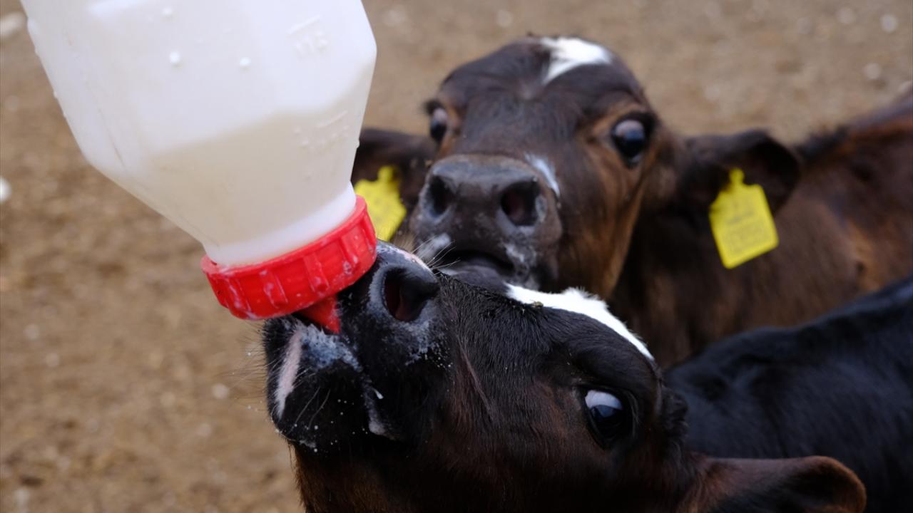 Tırnaklarından ojesini de eksik etmiyor