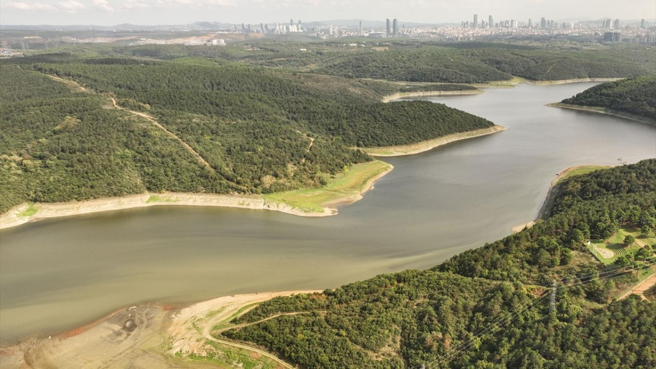 Son 10 yılın doluluk oranları