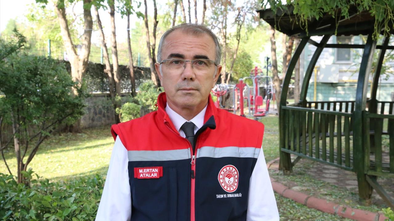 1000 yıldır tohumu kullanılan bir çeşit"