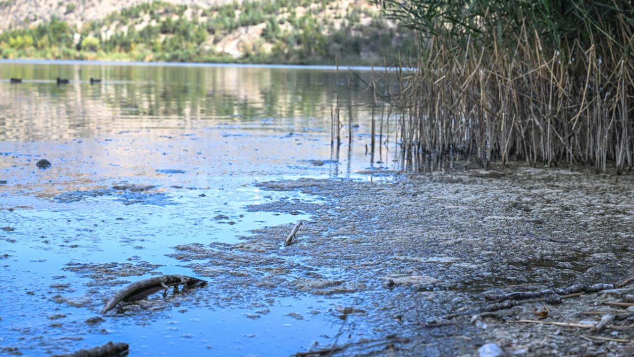 "Çok kötü bir koku yayılıyor"