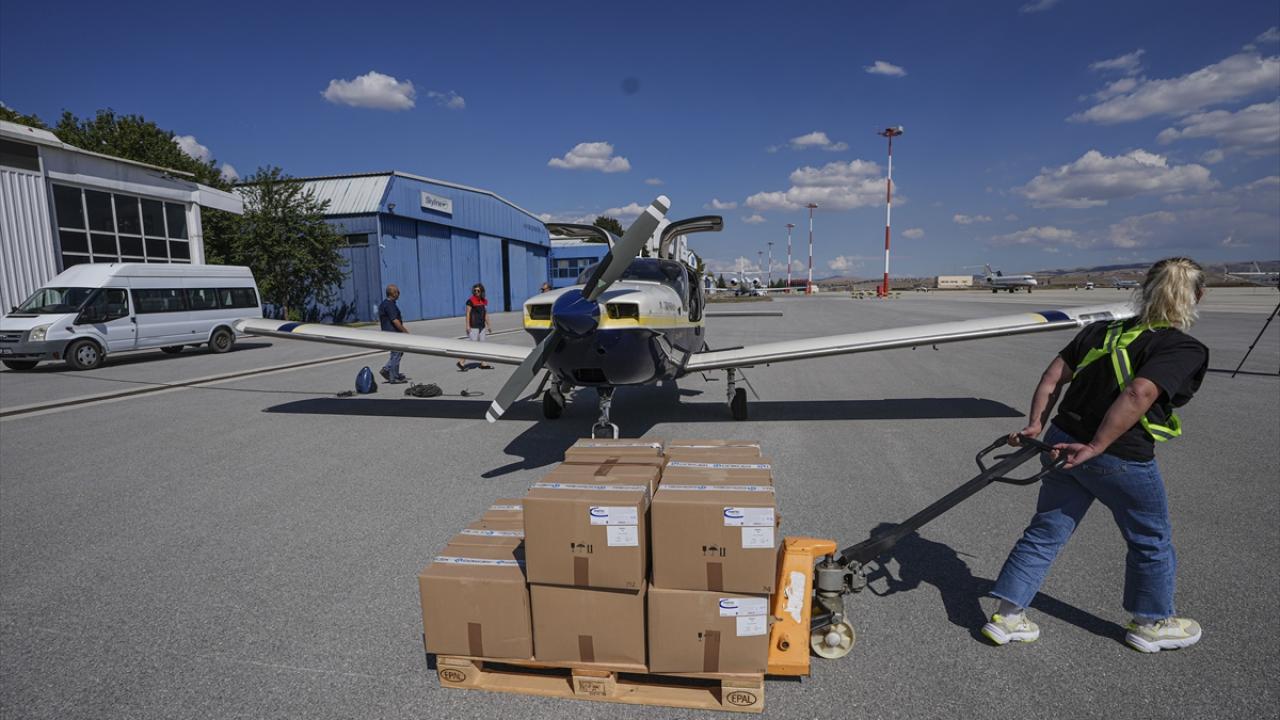 Oral kuduz aşısı programları yürütülüyor