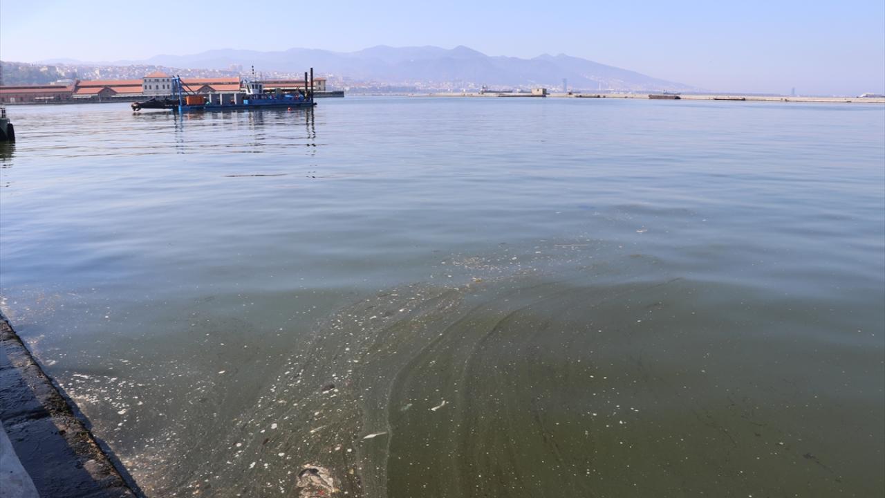 Acil önlem çağrısı