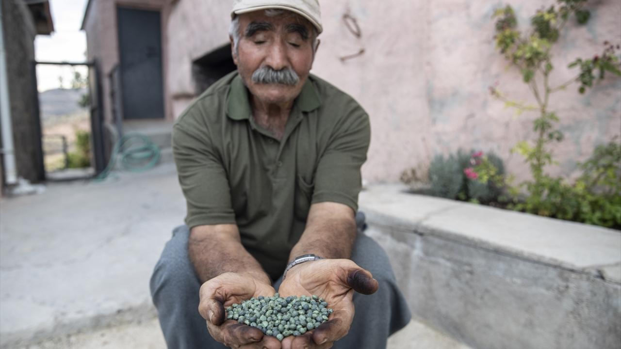 "Kilogramını 300-400 liraya satıyoruz"