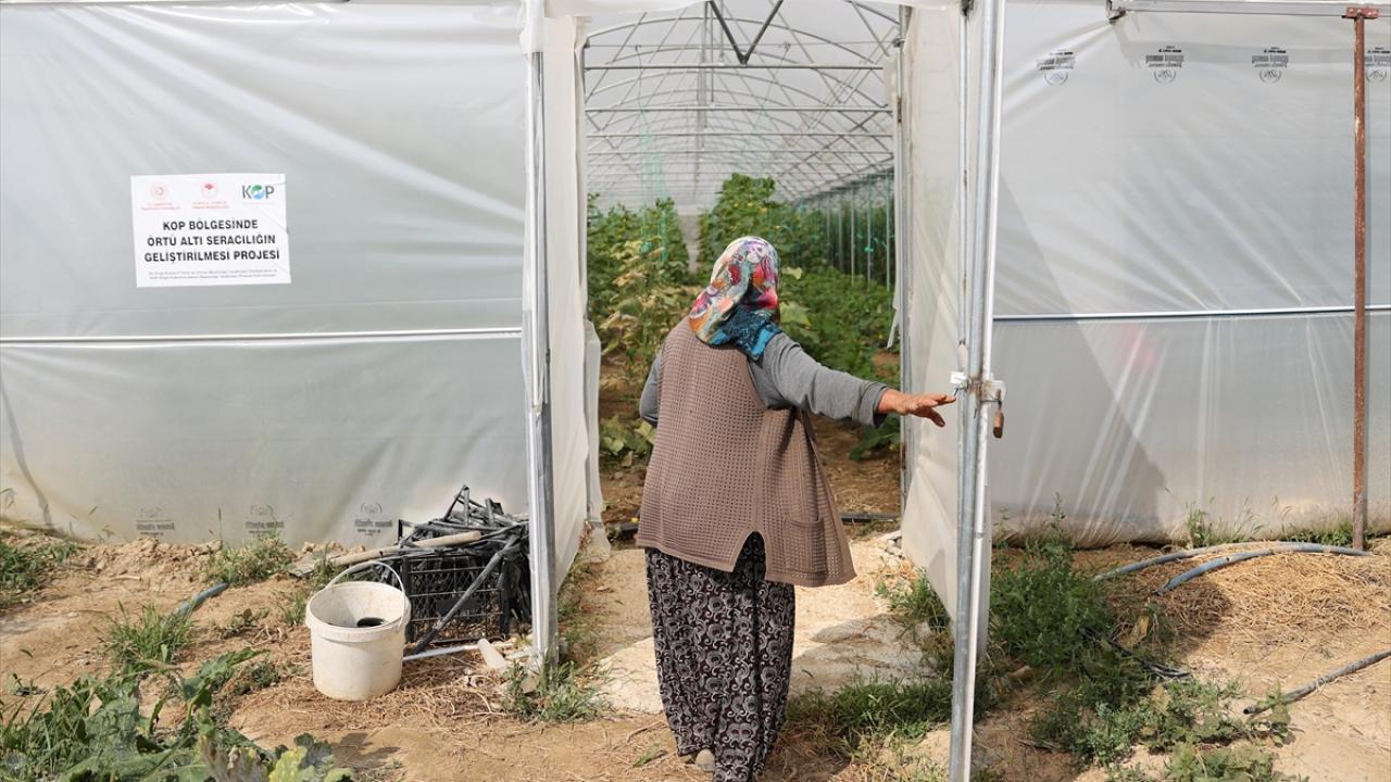 Sağlıkları el verdiği sürece üretmek istiyorlar
