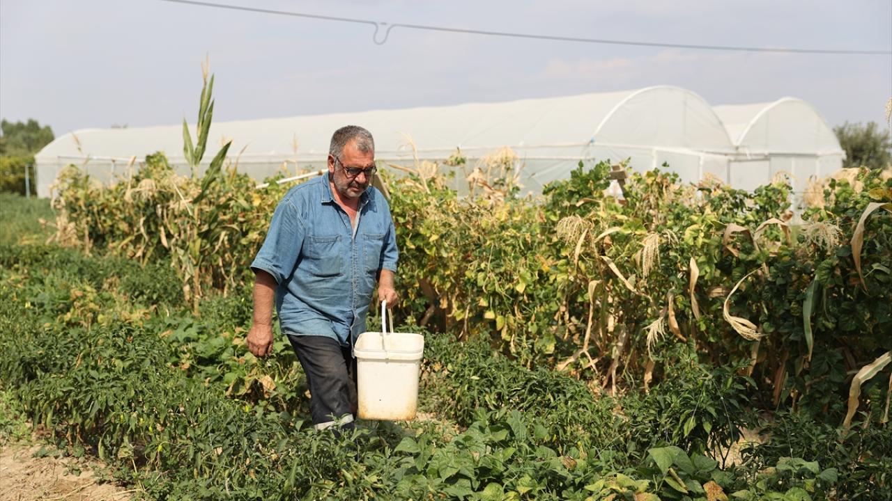 "Sebzelere çocuk gibi bakıyoruz"