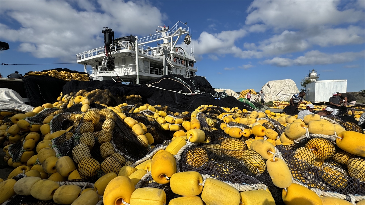 "İnşallah ekim ayıyla hamsi de bol olur, vatandaş da yer"