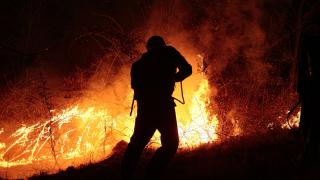 Arjantin'de orman yangınları devam ediyor