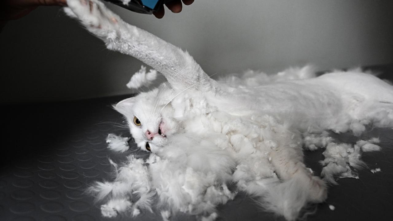 "Körlük tedavisinde de umut ışığı oldu"