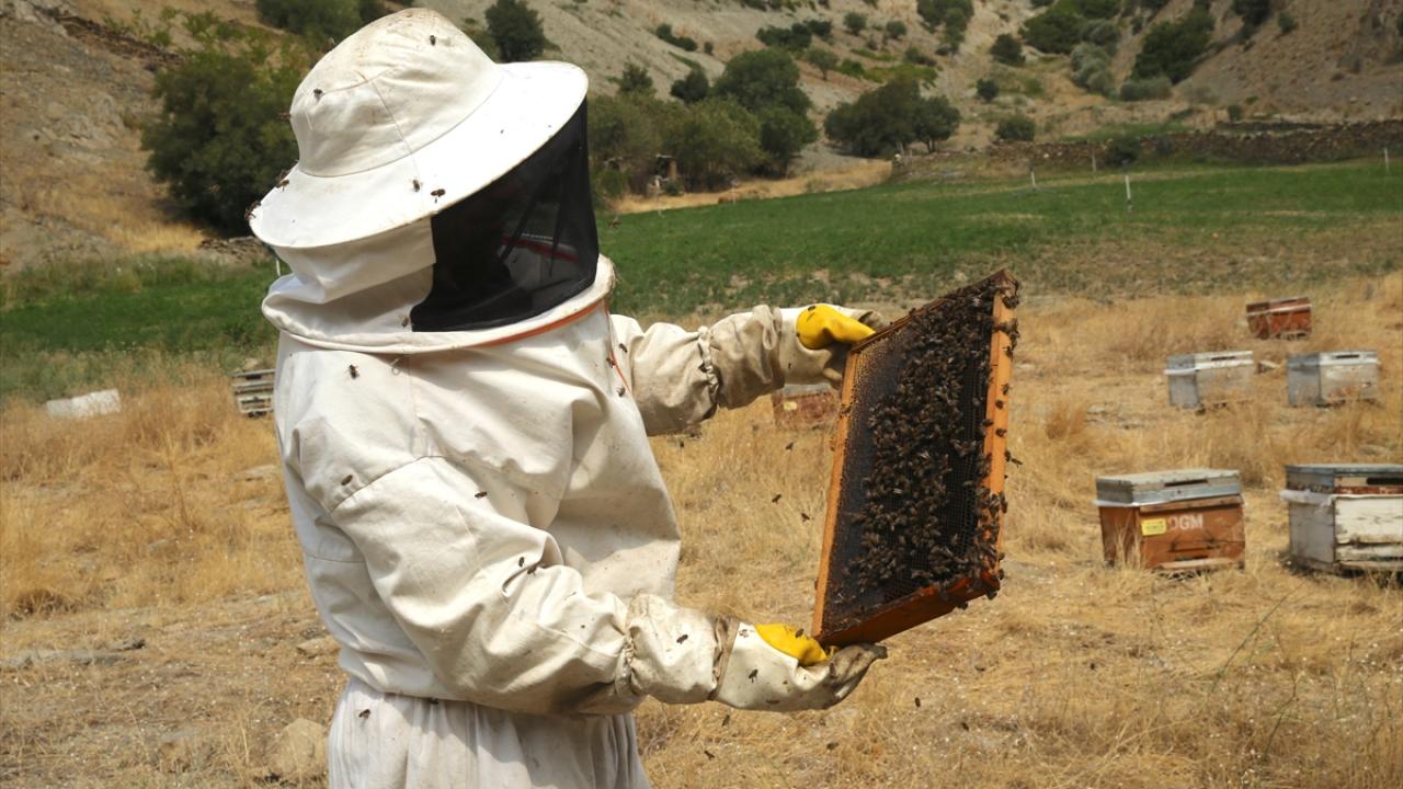 "Türkiye`nin her tarafına bal gönderiyoruz"