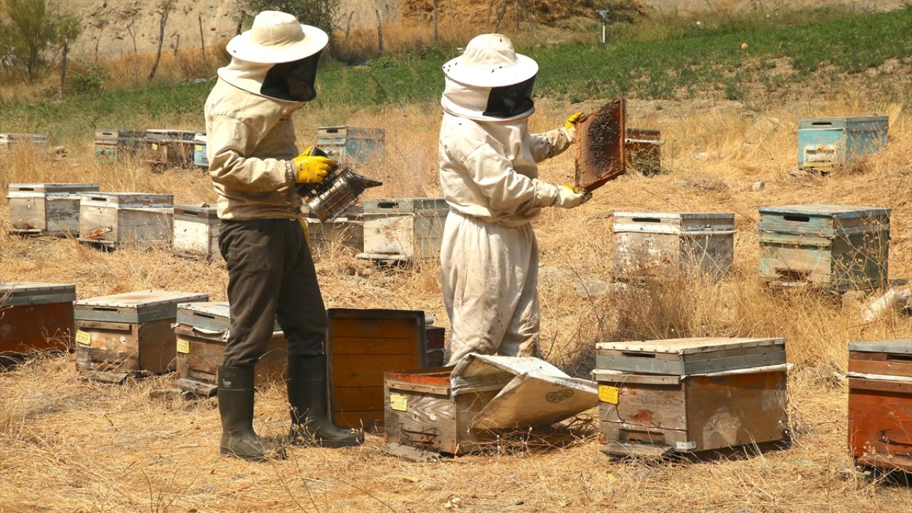 "Bölge genelinde verim iyi"