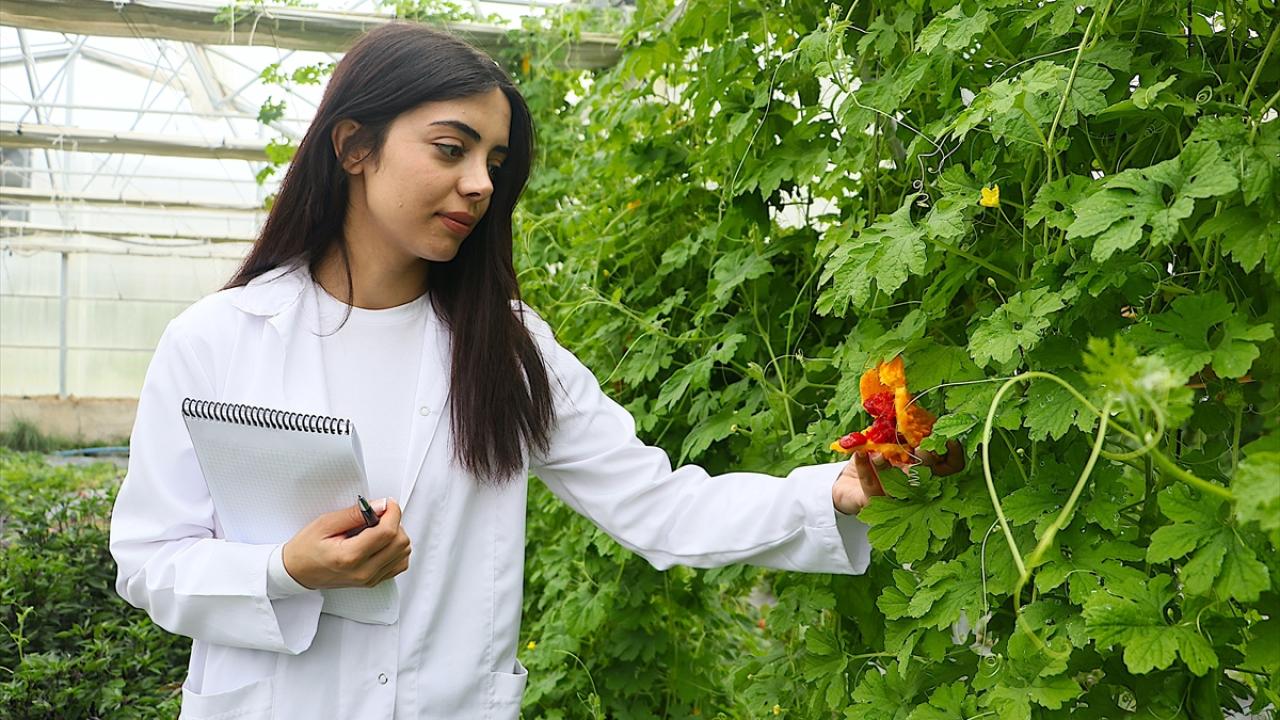 "Üreticilerimizi gelir kapısı daha yüksek ürünlerle tanıştırmak istiyoruz"