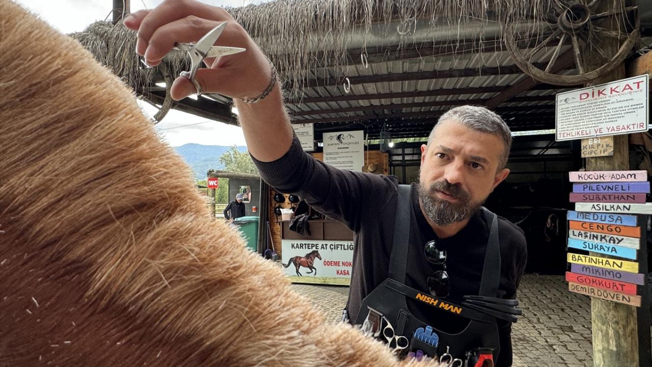 "Atları tıraş etmek çocuk tıraşı gibi"