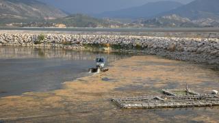Eğirdir Gölü'nü kurtarma operasyonu başladı