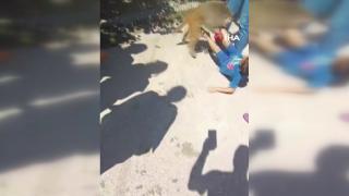 Adana'da maymun çocuğa işte böyle saldırdı