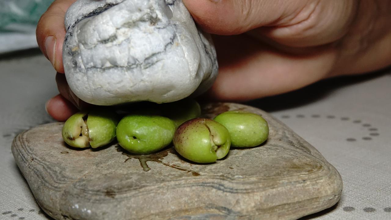 "Vücudun birçok sistemine, birçok organa fayda verdiği bilimsel olarak kanıtlanmıştır"