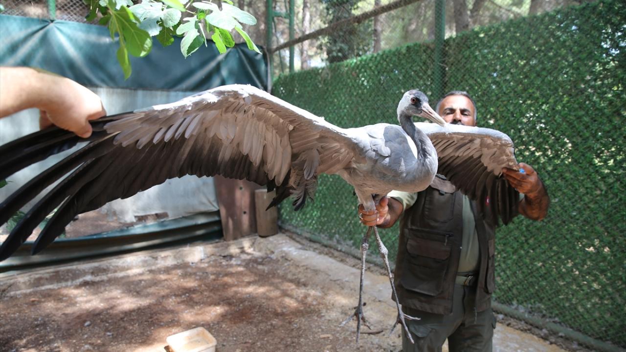 "Bizim için çok özel"
