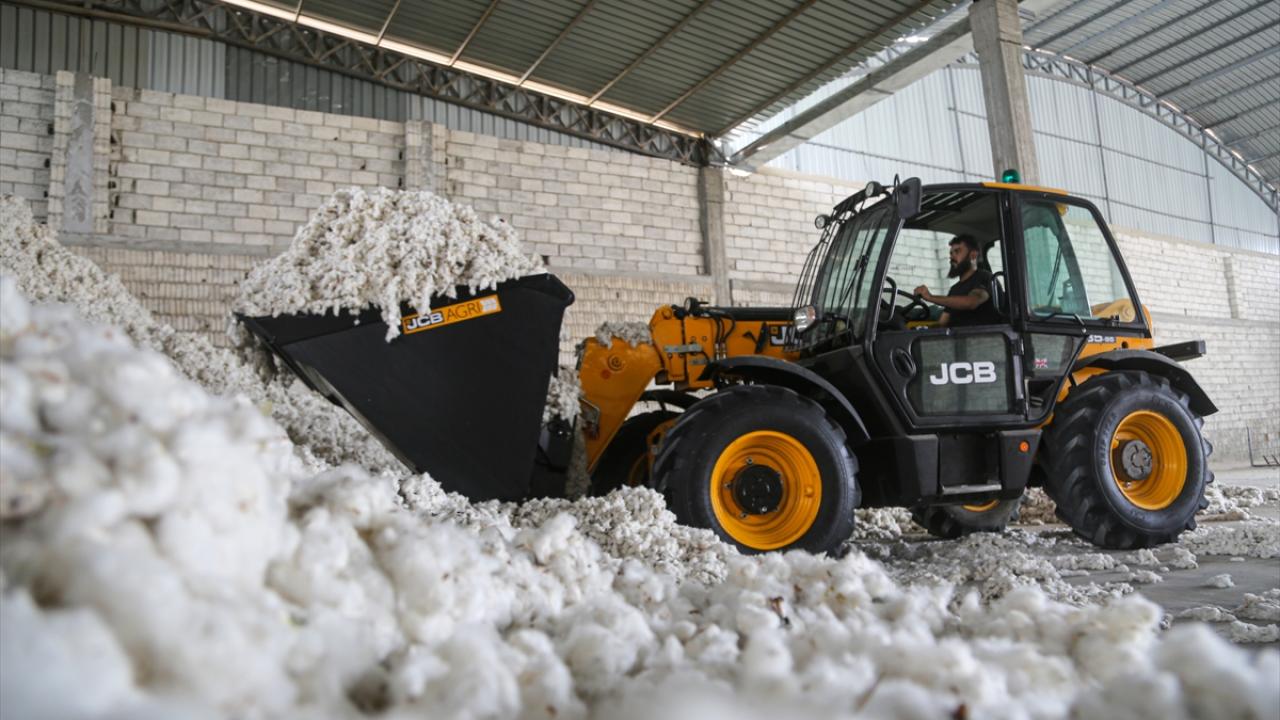 "Bölgede büyük bir yeniden imar hareketi var"
