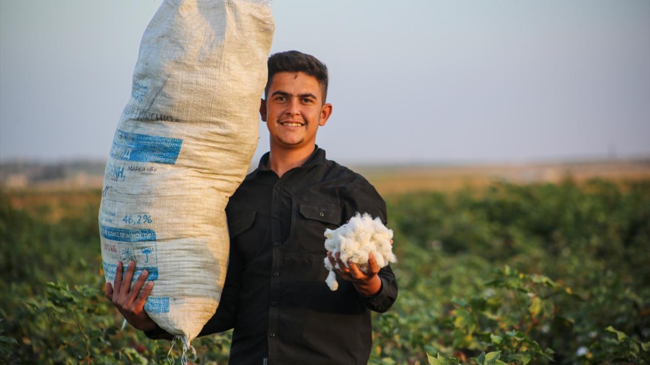 "Tel Abyad`a geri dönüp dükkanlarımız açtık, ailelerimize kavuştuk"