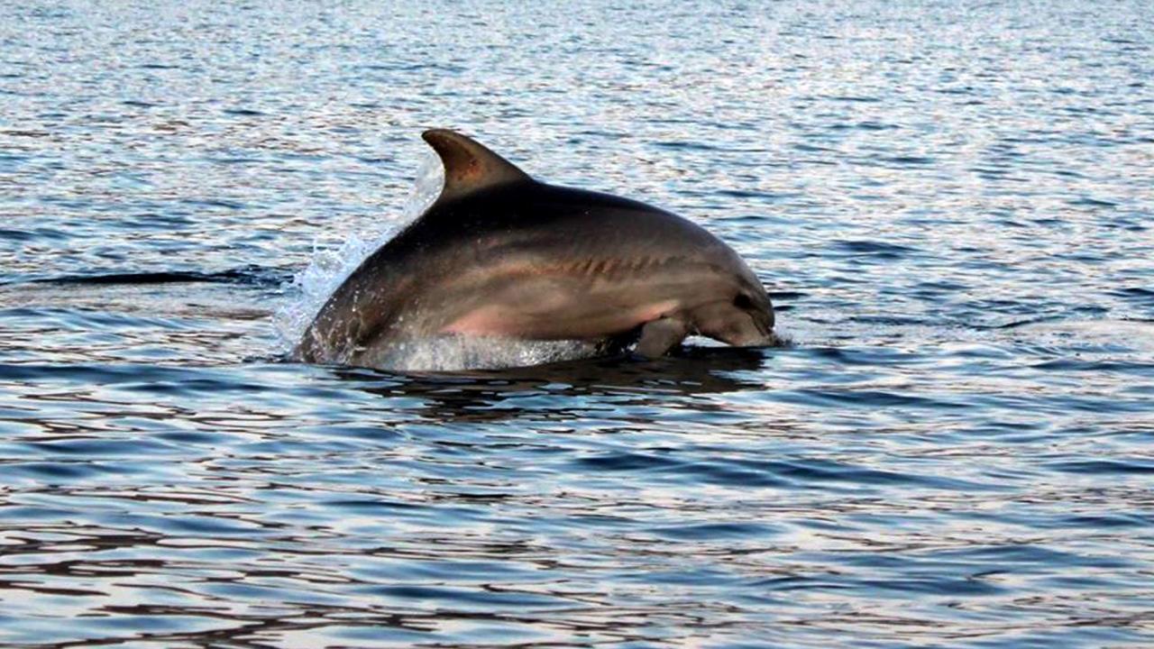 Doğu Akdeniz`in zenginliğinin ispatı