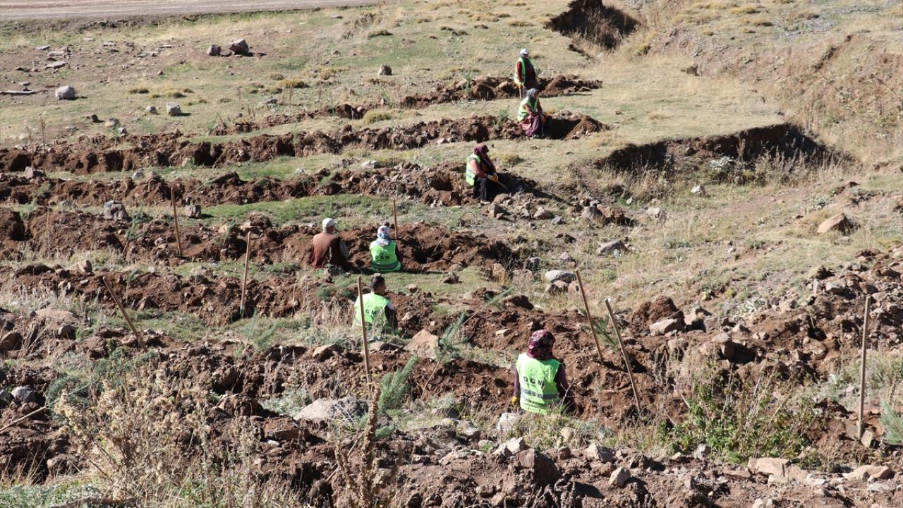 "Ülkemizin yeşil vatanına katkıda bulunacağız"