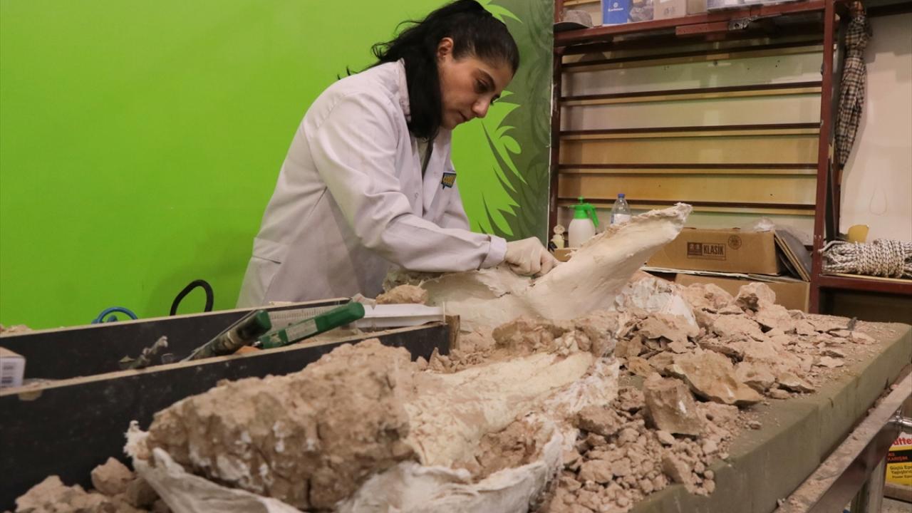 "Burası çok zengin bir lokasyon"