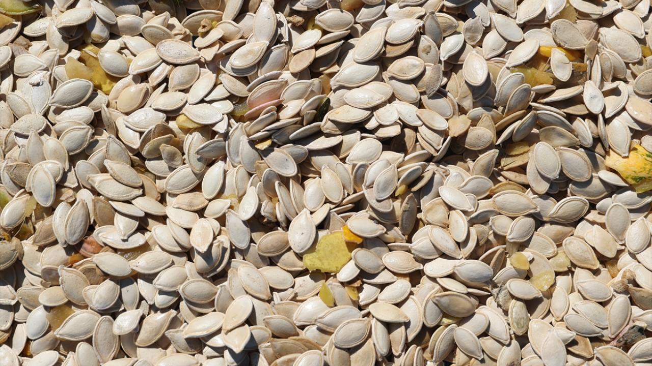 Yurt içi ve dışına pazarlanıyor