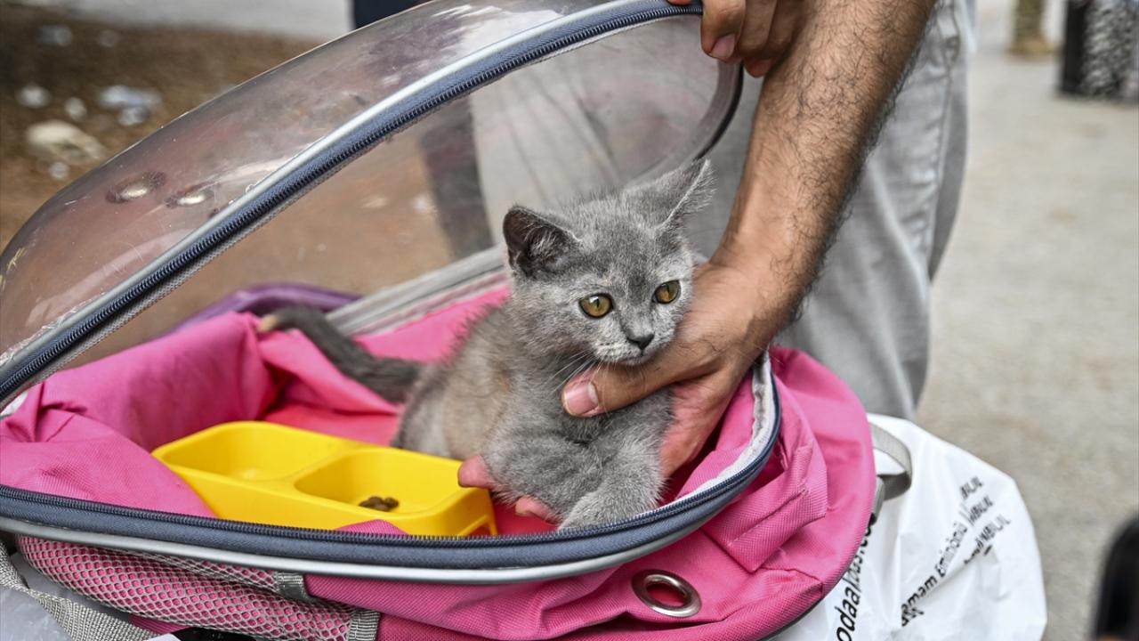 Gemiler 300 ton insani yardım ulaştırmıştı