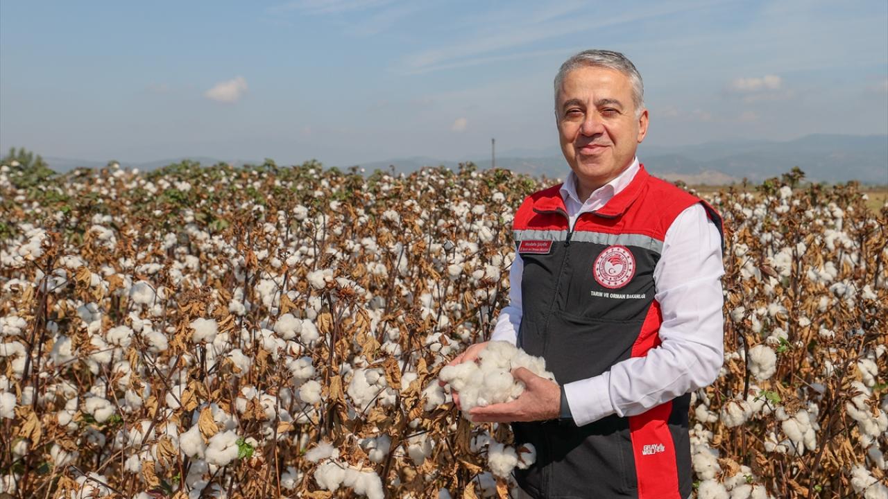 "Türkiye ortalamasının üzerinde bir rakamdayız"