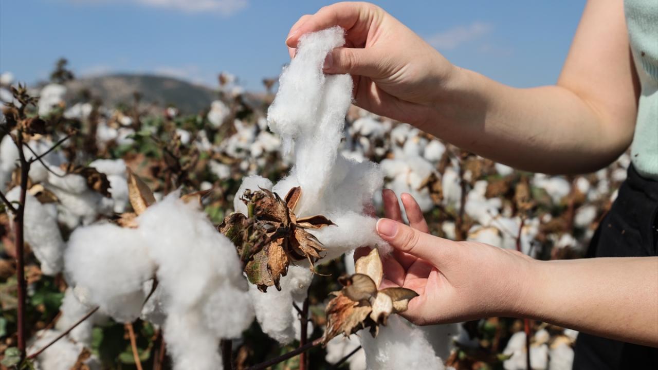 "Beklemediğimiz verimleri alıyoruz"