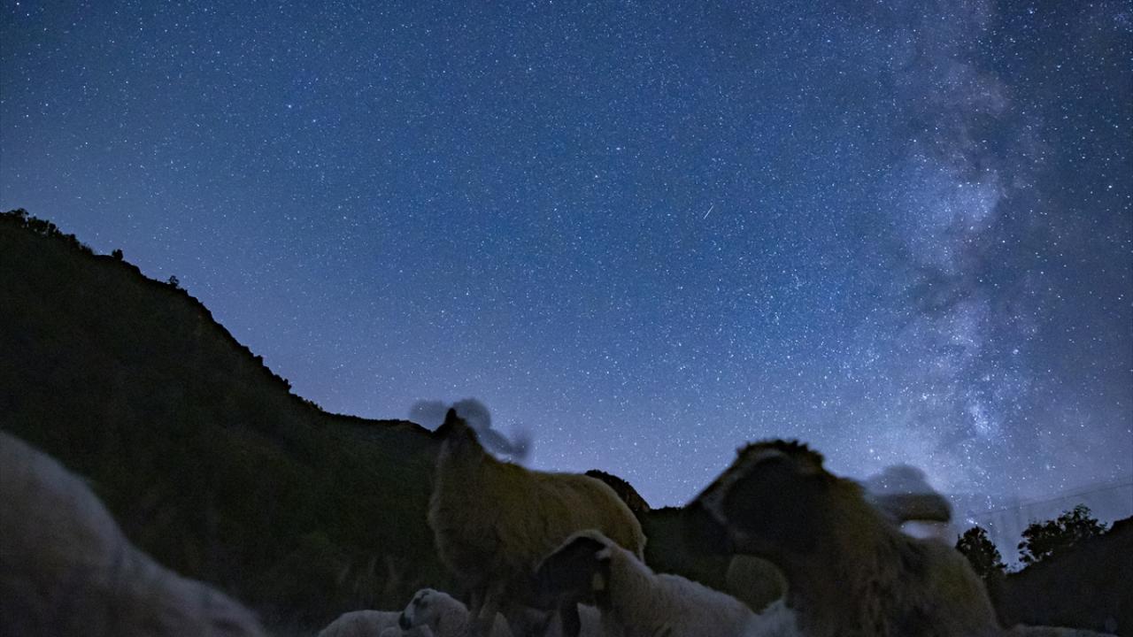 "Yağış olunca keçenin içine giriyoruz"