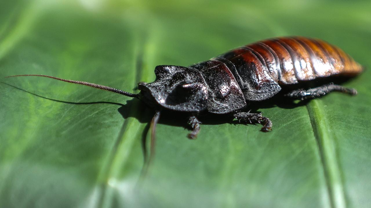 Ziyaretçilerin doğayla bağ kurması amaçlanıyor