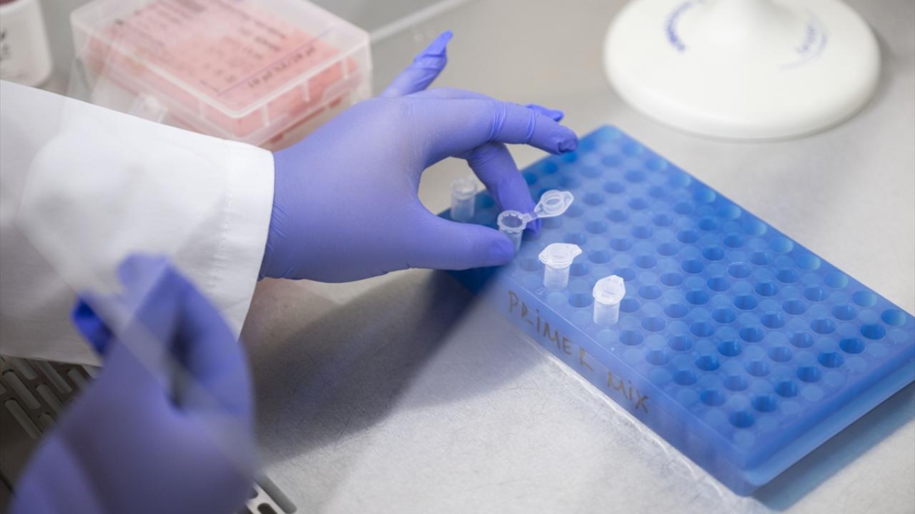 Yaklaşık 1 milyon 400 bin analiz yapılıyor