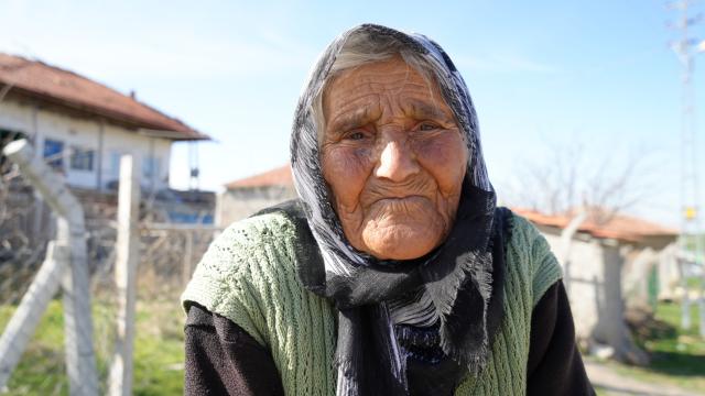 arzu-nine-iha-2289639_2.jpg