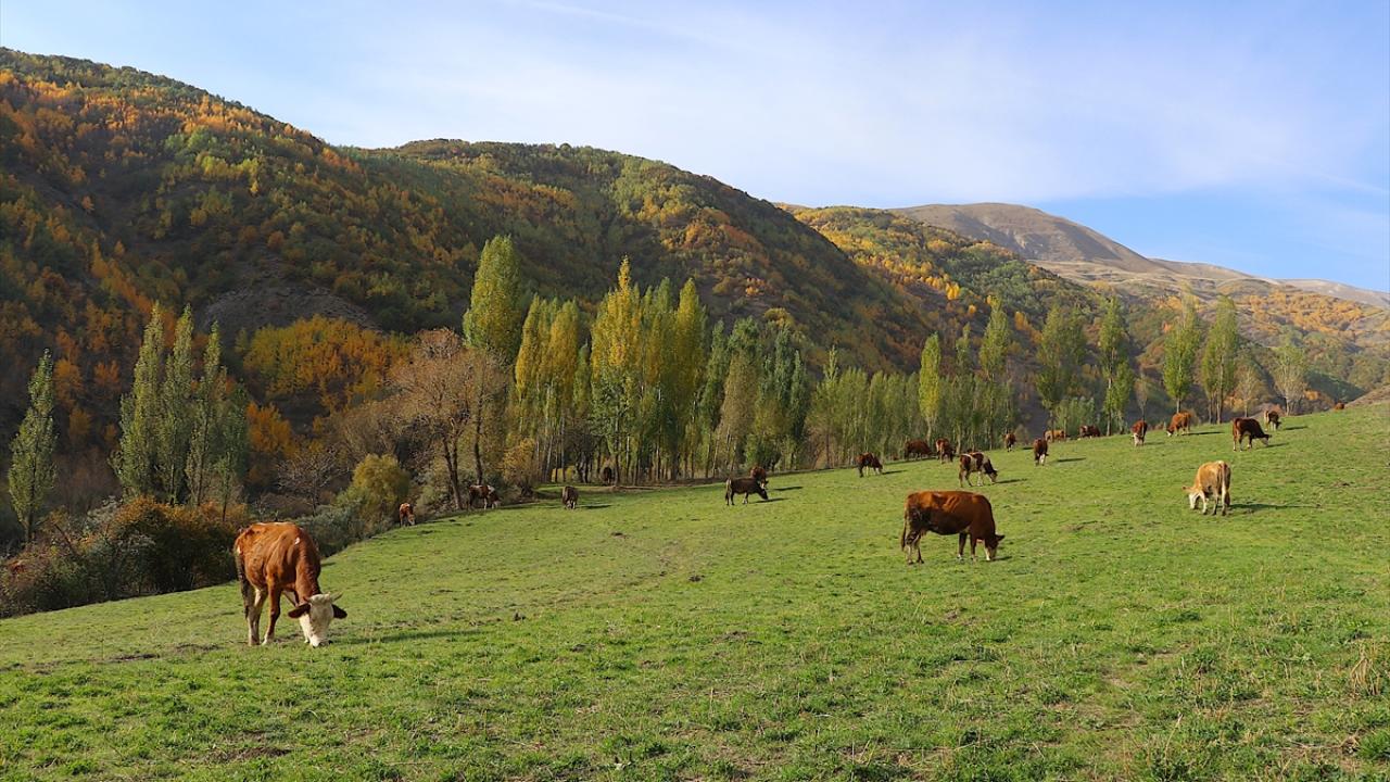 "Burası coğrafyaların buluşma noktası"