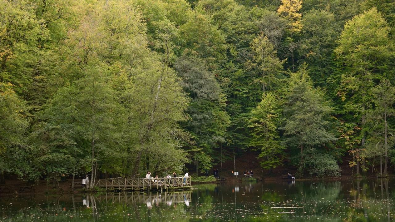 Ziyaretçiler sonbaharda milli parkın tadını çıkarıyor