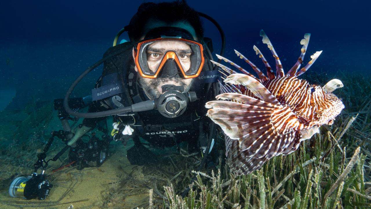 Tahsin Ceylan`ın "Kaş`ın altındaki gözler" makalesinde deniz canlılarının gözleriyle ilgili özetle şu bilgiler yer alıyor: