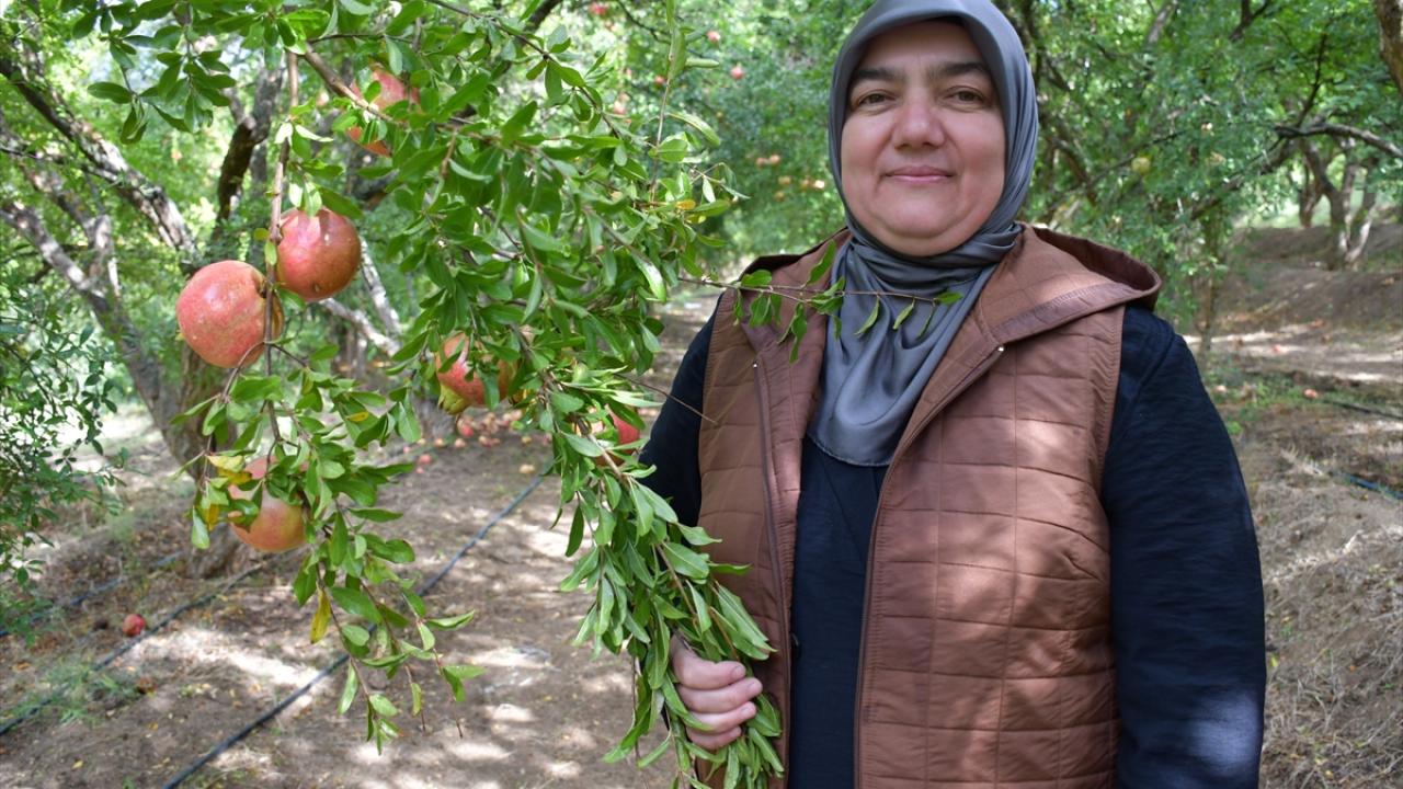 "Narımızın özelliği toprağından geliyor"