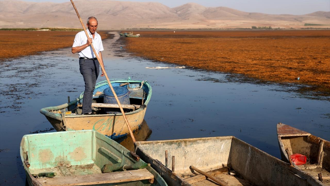 Yarım asırlık balıkçılık bitme noktasına geldi