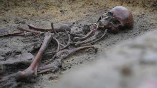 Vikingler dönemine ait yaklaşık 50 iskelet bulundu