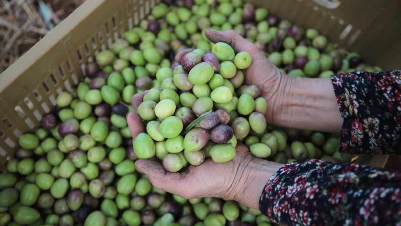 Üretim ihracata yansıyor