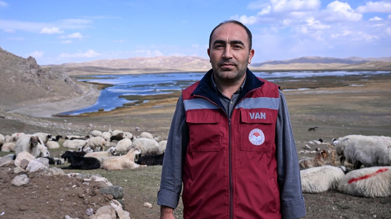 "Hayvanlarda bir problem görmedik"