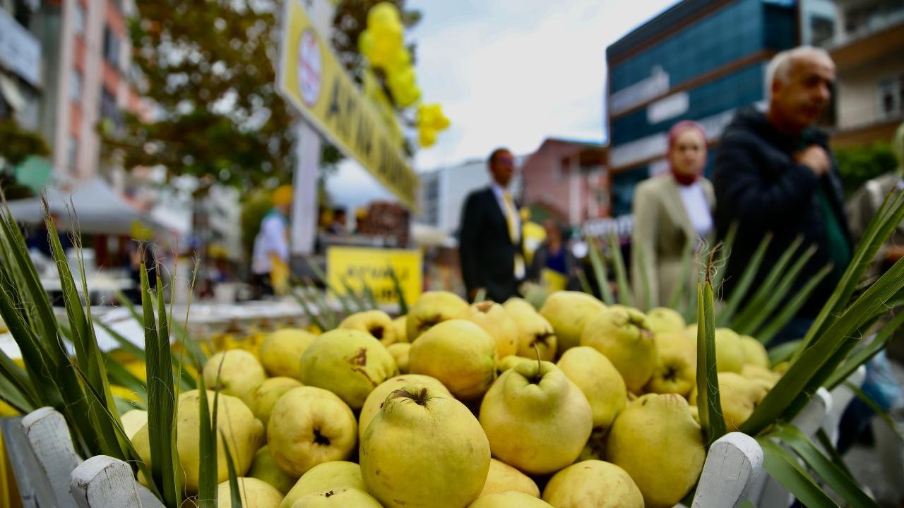 Sakarya'da "5. Pamukova Ayva ve Yöresel Ürünler Festivali" başladı