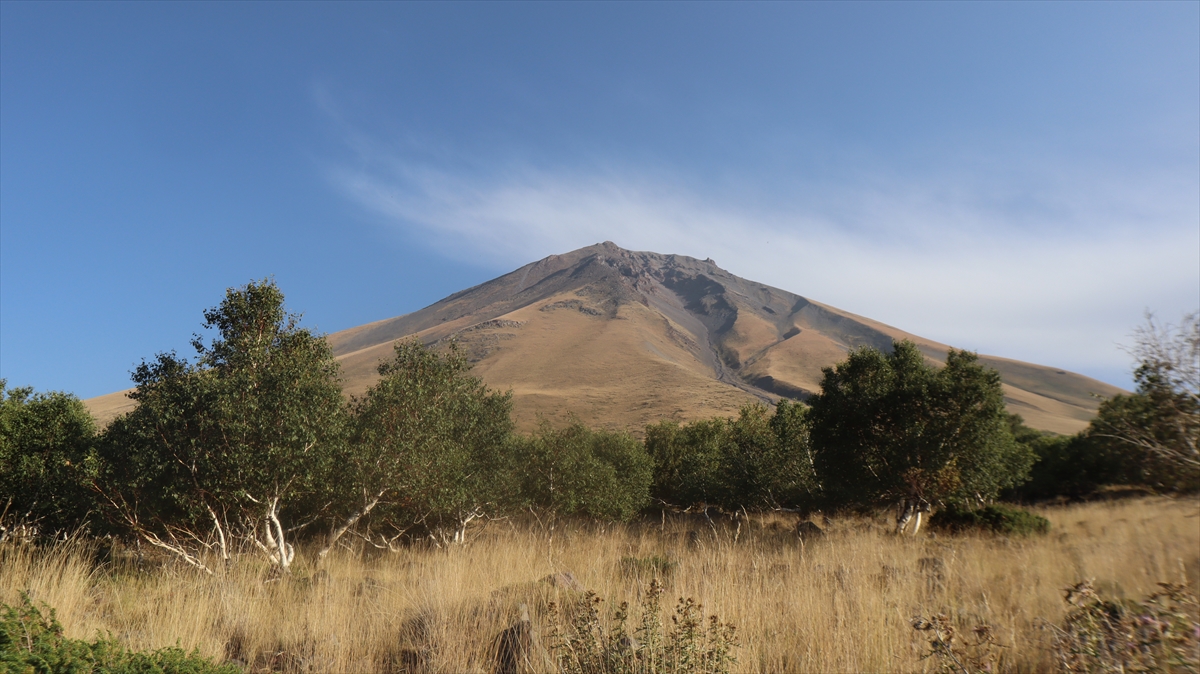 "Burası korunması gereken önemli alanlardan bir tanesidir"
