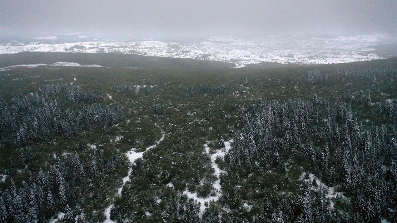 "Yaralıgöz, üzerindeki karlar, eteğindeki ormanlarla bembeyaz haliyle ressamın tablosunu yansıtıyor"