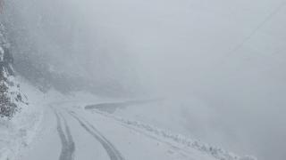 Artvin'de kar yağışı etkili oldu