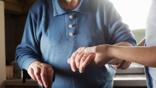 Asırlık çınarların sorunlarına "Yaşlılık Çalıştayı"nda çözüm aranacak