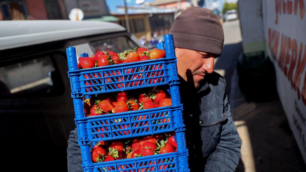 "Soğukla yarış içindeyiz"
