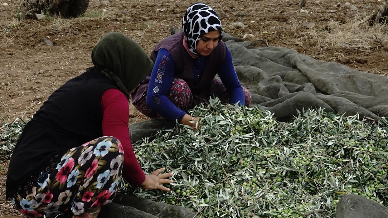 "Geçen yıldan 100-150 bin ton stok var"